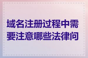 域名注册过程中需要注意哪些法律问题