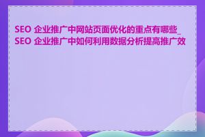 SEO 企业推广中网站页面优化的重点有哪些_SEO 企业推广中如何利用数据分析提高推广效果