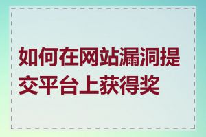 如何在网站漏洞提交平台上获得奖励