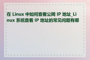 在 Linux 中如何查看公网 IP 地址_Linux 系统查看 IP 地址的常见问题有哪些