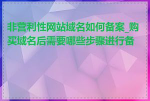 非营利性网站域名如何备案_购买域名后需要哪些步骤进行备案