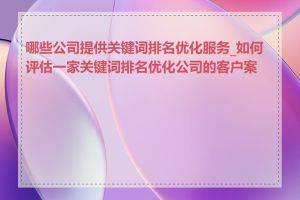 哪些公司提供关键词排名优化服务_如何评估一家关键词排名优化公司的客户案例