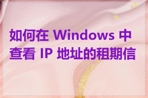 如何在 Windows 中查看 IP 地址的租期信息