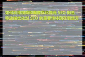 如何利用视频和图像优化提高 SEO 排名_移动端优化对 SEO 的重要性体现在哪些方面