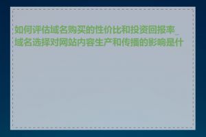 如何评估域名购买的性价比和投资回报率_域名选择对网站内容生产和传播的影响是什么