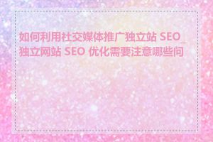 如何利用社交媒体推广独立站 SEO_独立网站 SEO 优化需要注意哪些问题