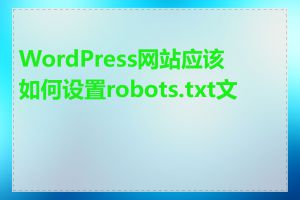 WordPress网站应该如何设置robots.txt文件