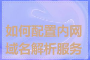 如何配置内网域名解析服务器