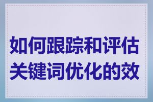 如何跟踪和评估关键词优化的效果