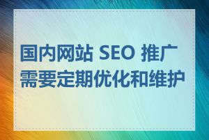 国内网站 SEO 推广需要定期优化和维护吗