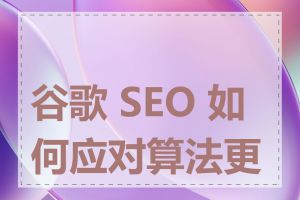 谷歌 SEO 如何应对算法更新