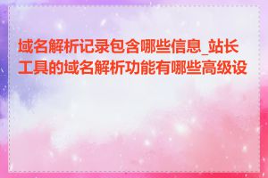 域名解析记录包含哪些信息_站长工具的域名解析功能有哪些高级设置