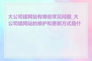 大公司建网站有哪些常见问题_大公司建网站的维护和更新方式是什么