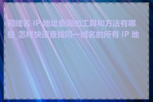 同域名 IP 地址查询的工具和方法有哪些_怎样快速查找同一域名的所有 IP 地址