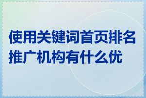 使用关键词首页排名推广机构有什么优势