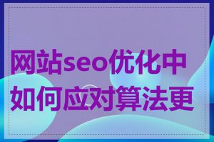 网站seo优化中如何应对算法更新