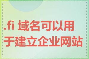 .fi 域名可以用于建立企业网站吗