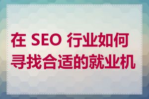 在 SEO 行业如何寻找合适的就业机会