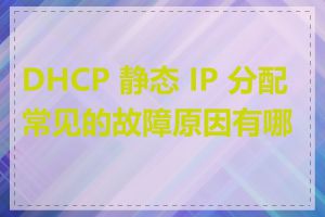 DHCP 静态 IP 分配常见的故障原因有哪些