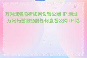 万网域名解析如何设置公网 IP 地址_万网托管服务器如何查看公网 IP 地址