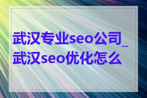 武汉专业seo公司_武汉seo优化怎么样