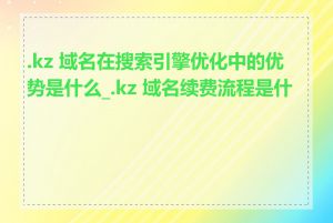 .kz 域名在搜索引擎优化中的优势是什么_.kz 域名续费流程是什么