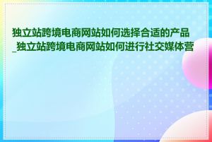 独立站跨境电商网站如何选择合适的产品_独立站跨境电商网站如何进行社交媒体营销