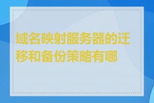 域名映射服务器的迁移和备份策略有哪些