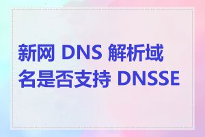 新网 DNS 解析域名是否支持 DNSSEC