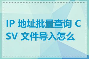 IP 地址批量查询 CSV 文件导入怎么做