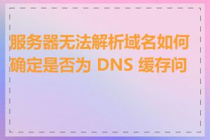 服务器无法解析域名如何确定是否为 DNS 缓存问题