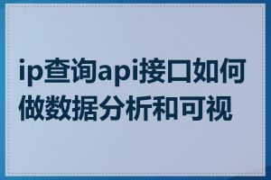 ip查询api接口如何做数据分析和可视化