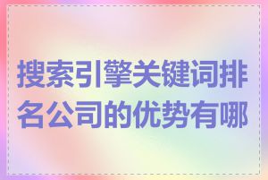 搜索引擎关键词排名公司的优势有哪些