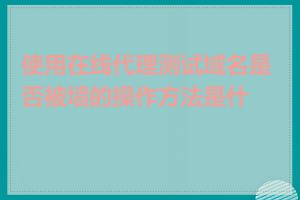 使用在线代理测试域名是否被墙的操作方法是什么