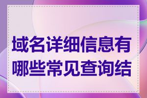 域名详细信息有哪些常见查询结果