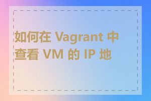 如何在 Vagrant 中查看 VM 的 IP 地址