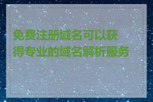 免费注册域名可以获得专业的域名解析服务吗