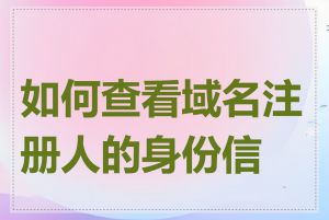 如何查看域名注册人的身份信息