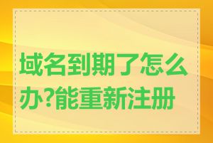 域名到期了怎么办?能重新注册吗