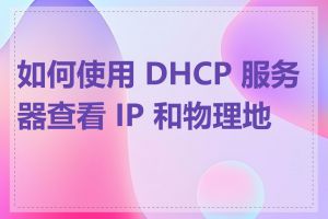 如何使用 DHCP 服务器查看 IP 和物理地址