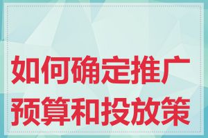 如何确定推广预算和投放策略