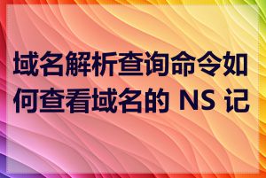 域名解析查询命令如何查看域名的 NS 记录