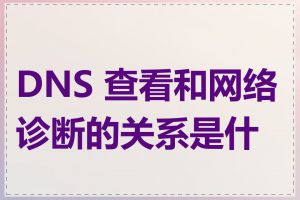 DNS 查看和网络诊断的关系是什么