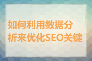 如何利用数据分析来优化SEO关键词