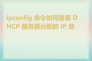 ipconfig 命令如何查看 DHCP 服务器分配的 IP 地址