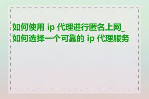 如何使用 ip 代理进行匿名上网_如何选择一个可靠的 ip 代理服务商