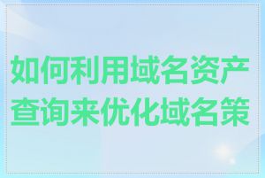 如何利用域名资产查询来优化域名策略