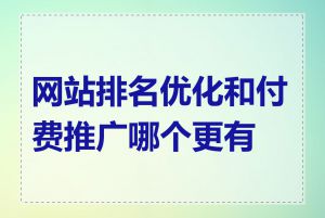 网站排名优化和付费推广哪个更有效