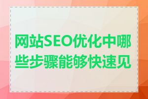 网站SEO优化中哪些步骤能够快速见效