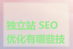 独立站 SEO 优化有哪些技巧